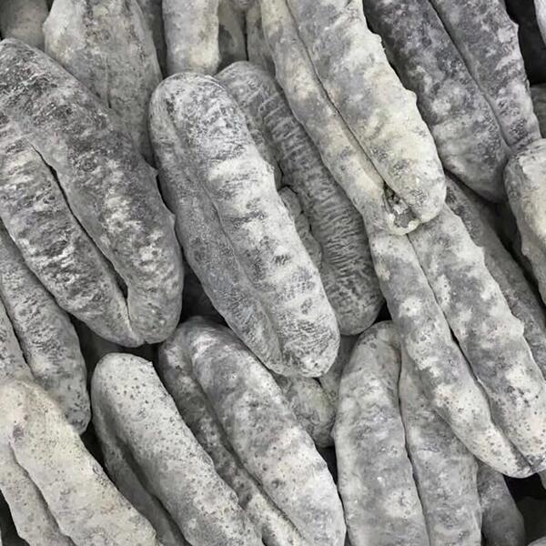 猪婆参印尼精选海参干