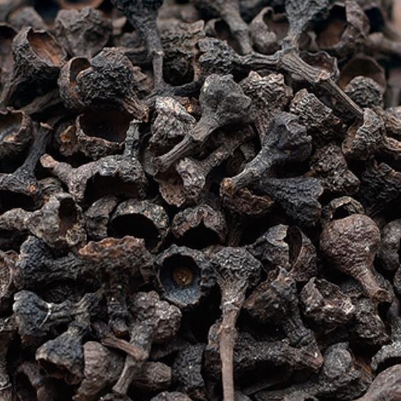 桂籽香料调味料桂子肉