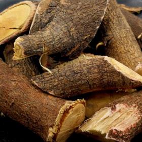 秦岭野生酸枣仁根老根