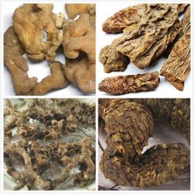 肉苁蓉黄精锁阳淫羊藿