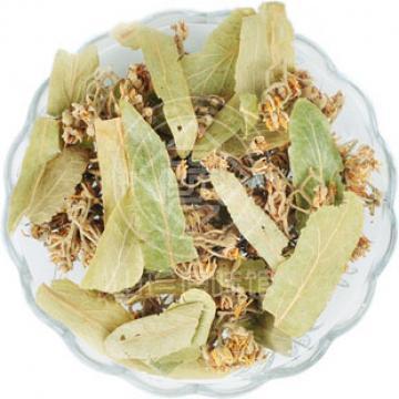 正宗菩提叶野生菩提叶