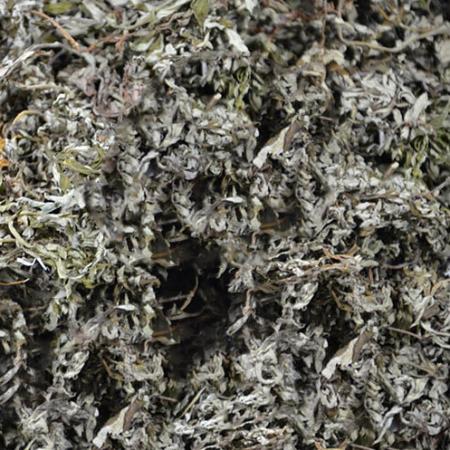 五月晒干艾草野生艾叶