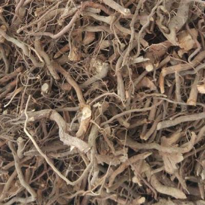 茅莓根 蛇泡簕 蛇泡筋