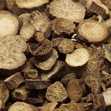 赤芍山芍药山赤芍草芍药