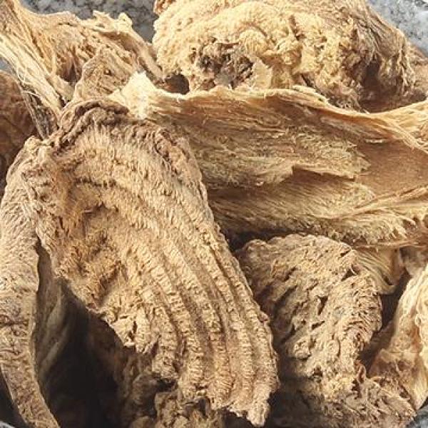 商陆野生见肿消章柳根