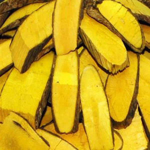 深山野生十大功劳刺黄连