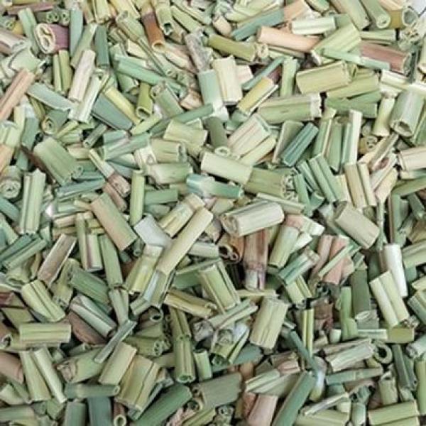 芦苇茎芦根茎芦苇杆子