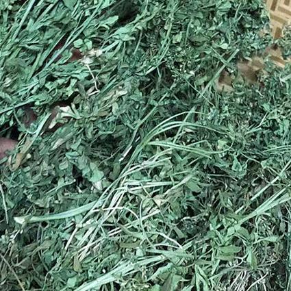 芸香草臭艾草香草荆芥七