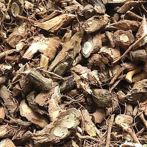 含羞草根红茎害羞草根