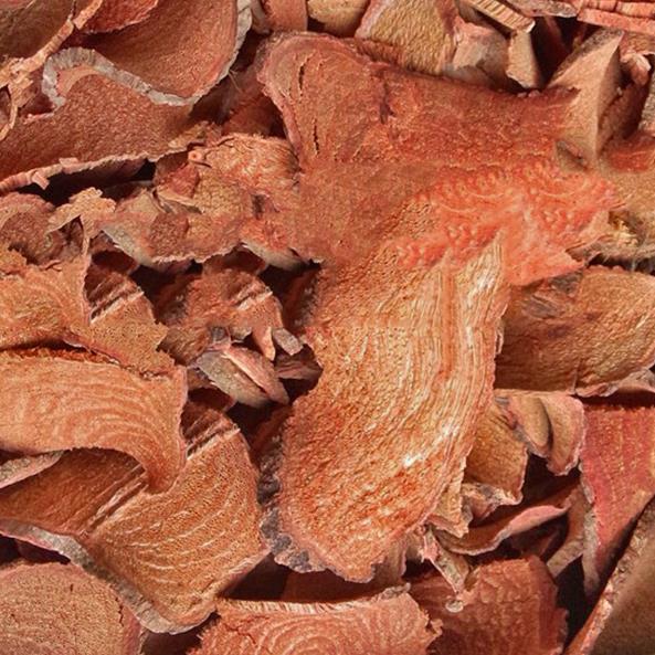 过岗龙藤野生过江龙藤