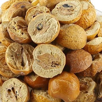 川楝子楝实子野生川楝实