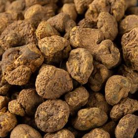 正宗元胡玄胡野生延胡索