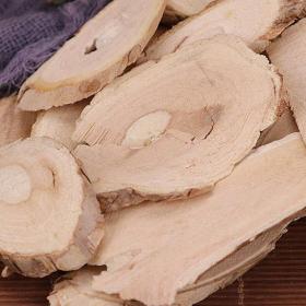 野生猫人参猫气藤沙梨藤