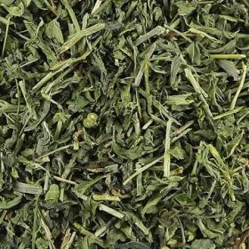 野生透骨草珍珠透骨草