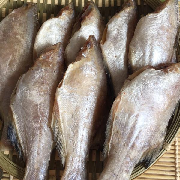 福建午鱼干风干午仔鱼干