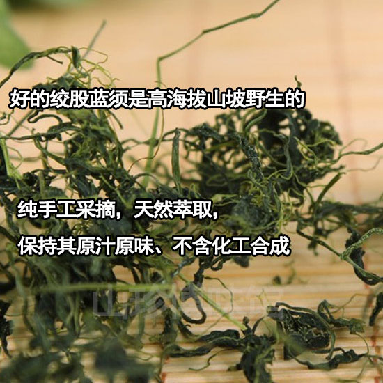 绞股蓝龙须茶绞股蓝嫩须茶