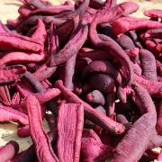 农家自制紫红皮萝卜干菜