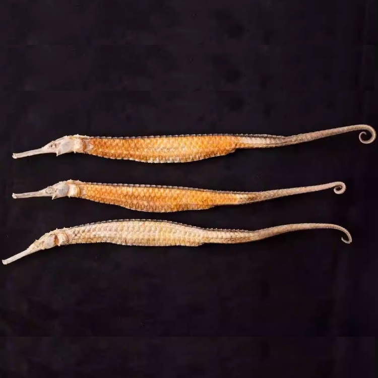 新晒黄金海龙大刁海龙干