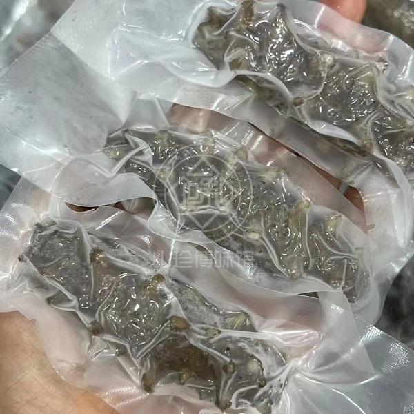 大连海参野生鲜海参500g