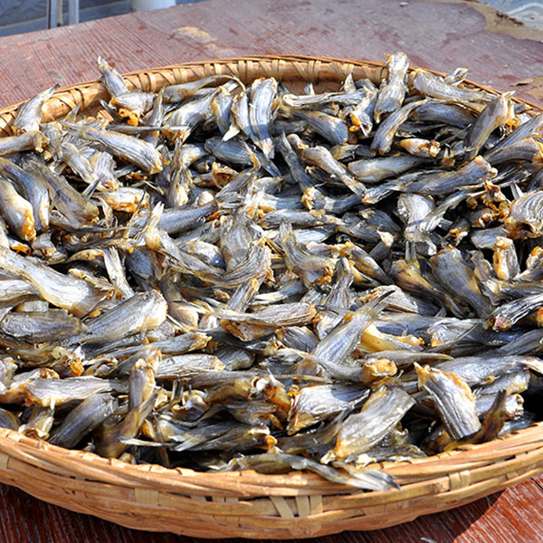 黄骨鱼干汪丫鱼黄辣丁