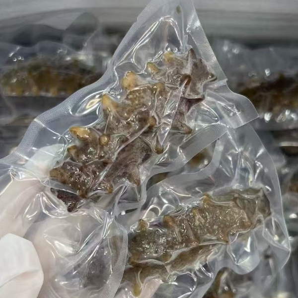 大连辽参新鲜即食海参肉质结实Q弹