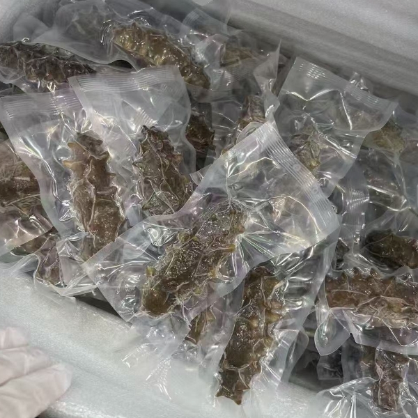 大连辽参新鲜即食海参肉质结实Q弹