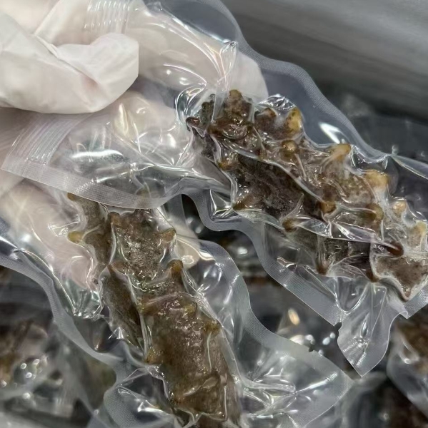 大连辽参新鲜即食海参肉质结实Q弹