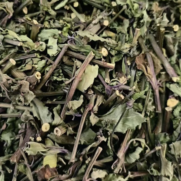 云南西双版纳猫须草降尿酸三高养生茶