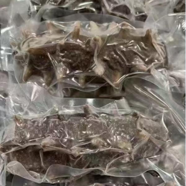 大连国标鲜食海参礼盒三斤装日常滋补