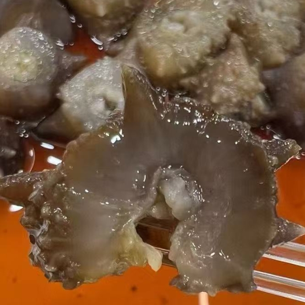 大连国标鲜食海参礼盒三斤装日常滋补