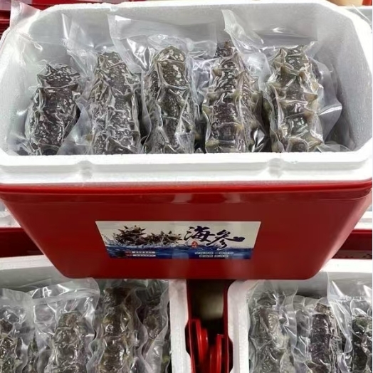 大连国标鲜食海参礼盒三斤装日常滋补