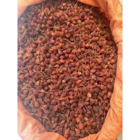 西藏野生山楂无硫山楂果