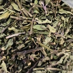 猫须草新茶云南野生猫须公茶痛...