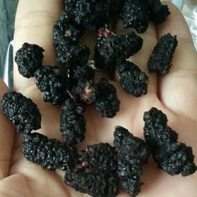 新疆黑桑葚干果天然降脂花青素...