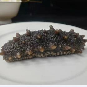 国标鲜食海参大连海参低零添加...