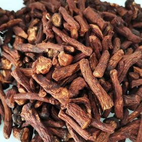 长白山野生蒲公英根茶辅助降血...