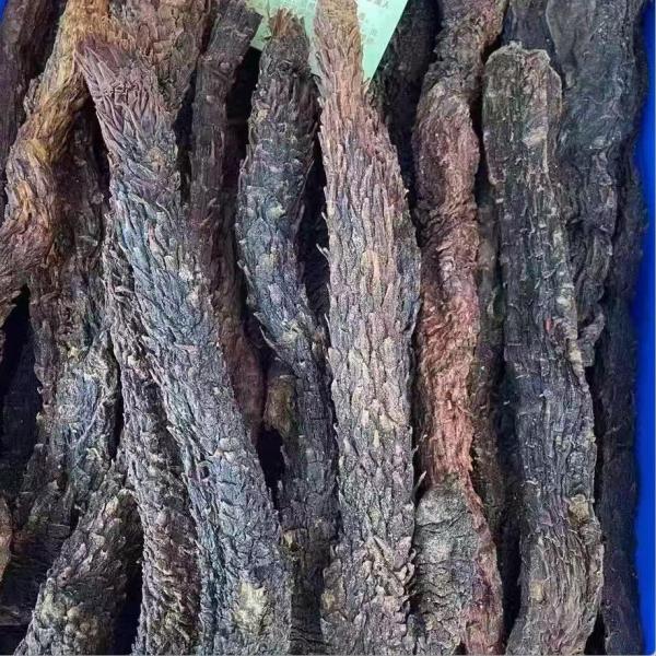 阿拉善秋苁蓉男士肾虚疲劳大条油苁蓉