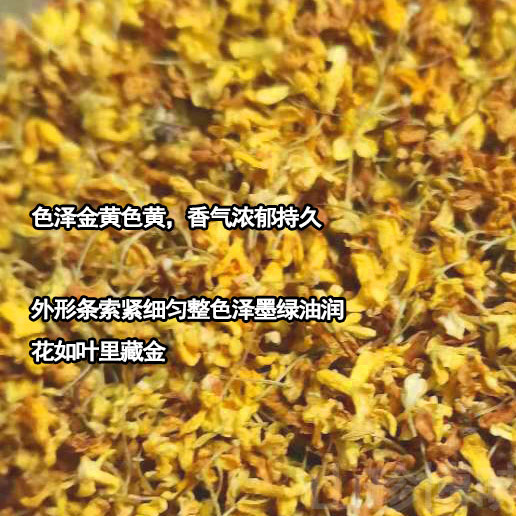 广西桂林桂花控油体香管理野生桂花茶
