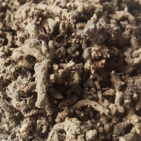 纯仙灵脾根驱宫寒促恢复野生仙灵脾根