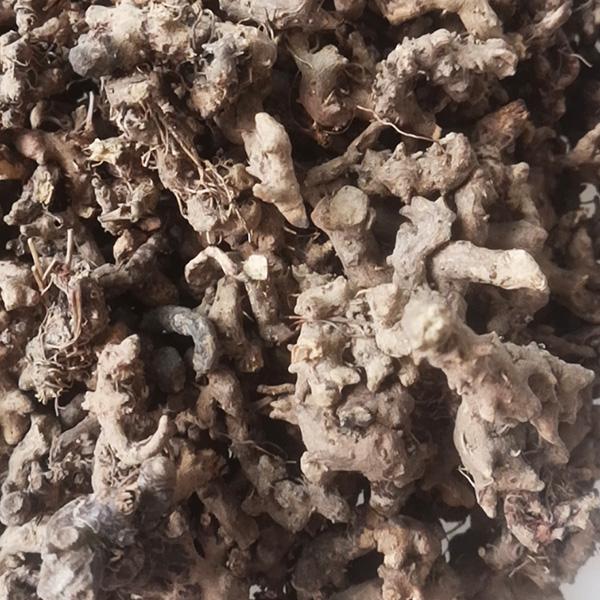 纯仙灵脾根改善腰膝酸软野生仙灵脾根