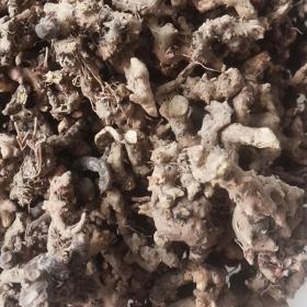 纯仙灵脾根改善阳痿遗精野生仙...