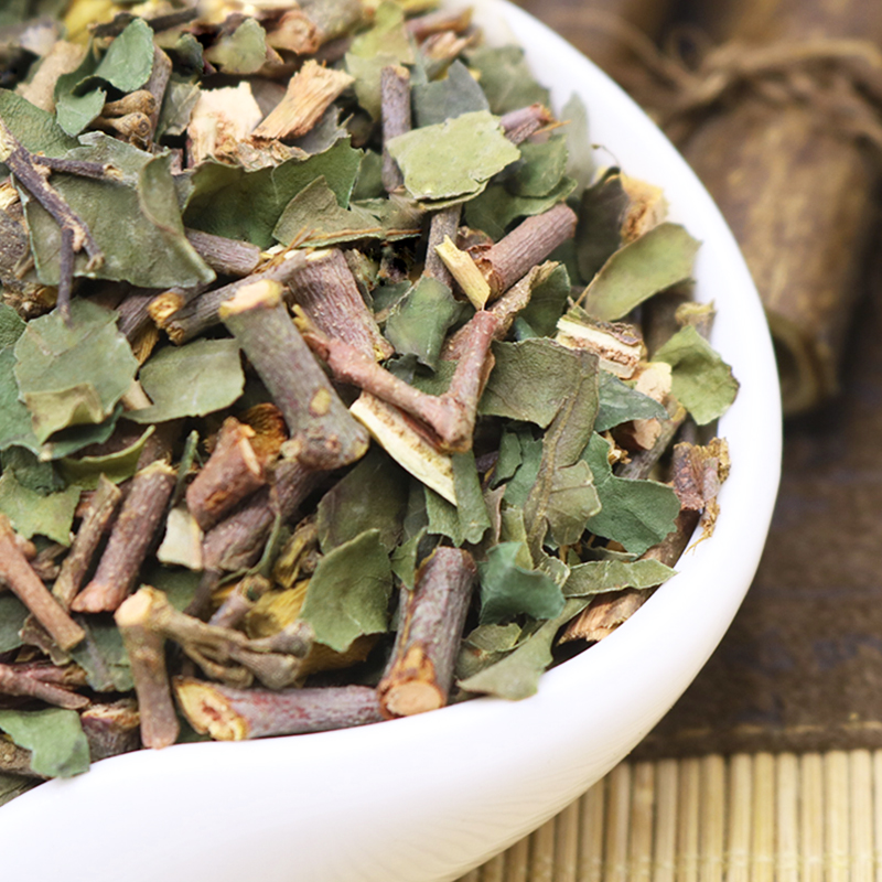 野生桑寄生广西深山广寄生