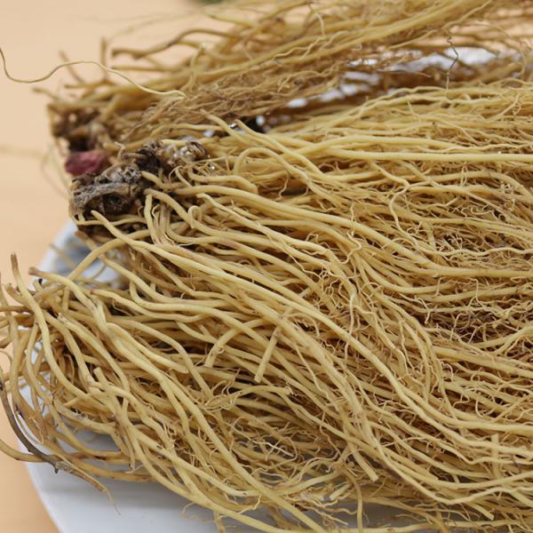 细辛纯根辽细辛根北细辛