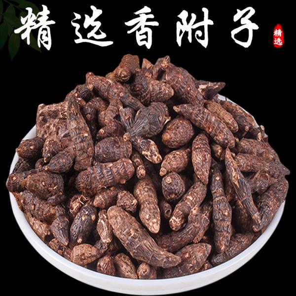 野生香附香附子粉莎草香附