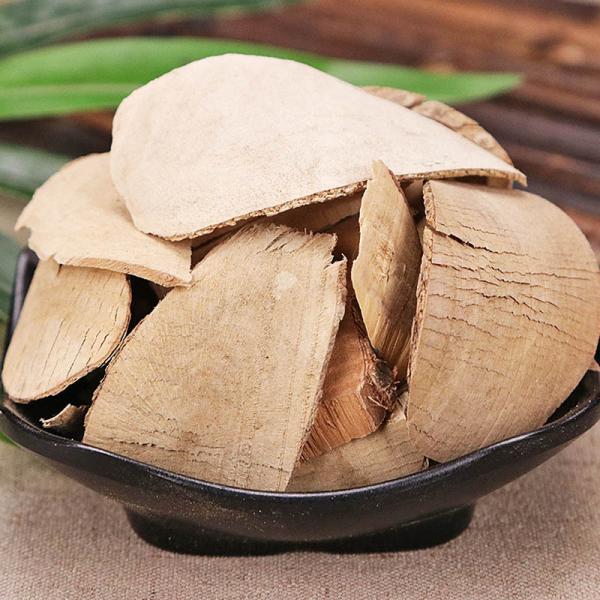 枸骨木根狗骨根猫儿刺根八角刺根