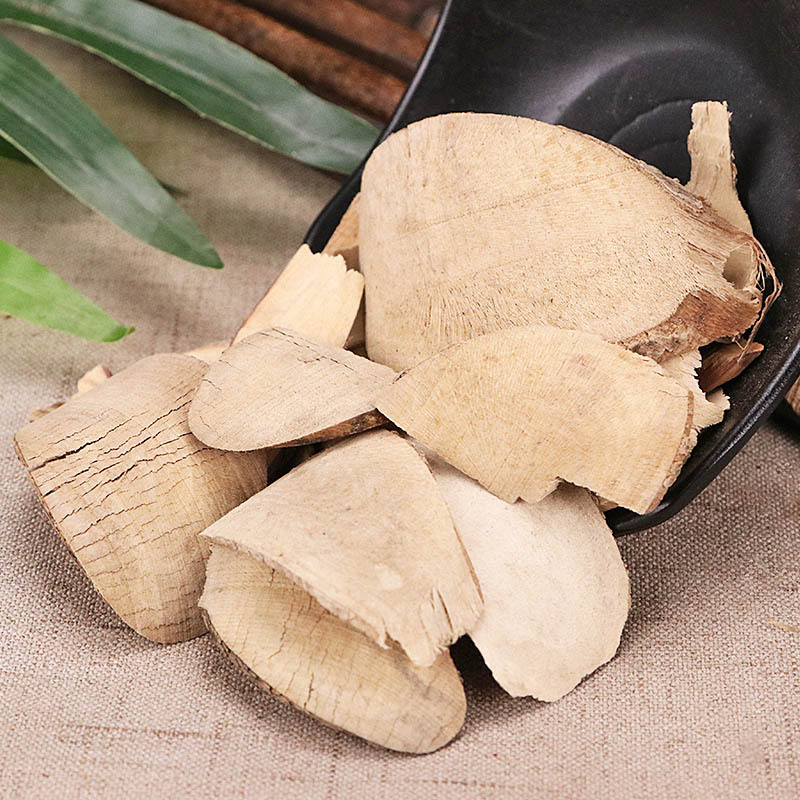 枸骨木根狗骨根猫儿刺根八角刺根