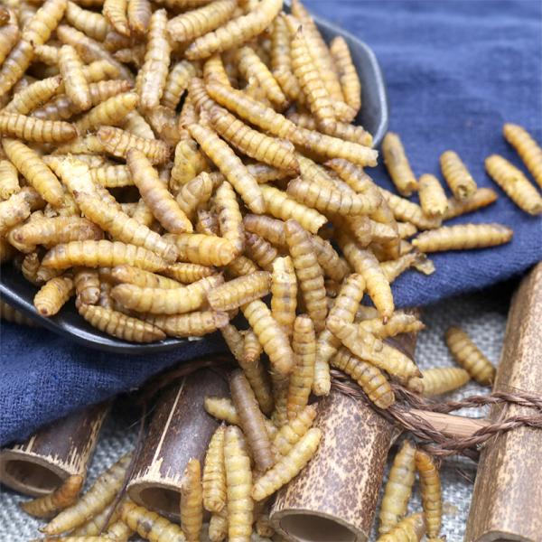 水仙子五谷虫无谷子野生蛆虫干货蝇蛆