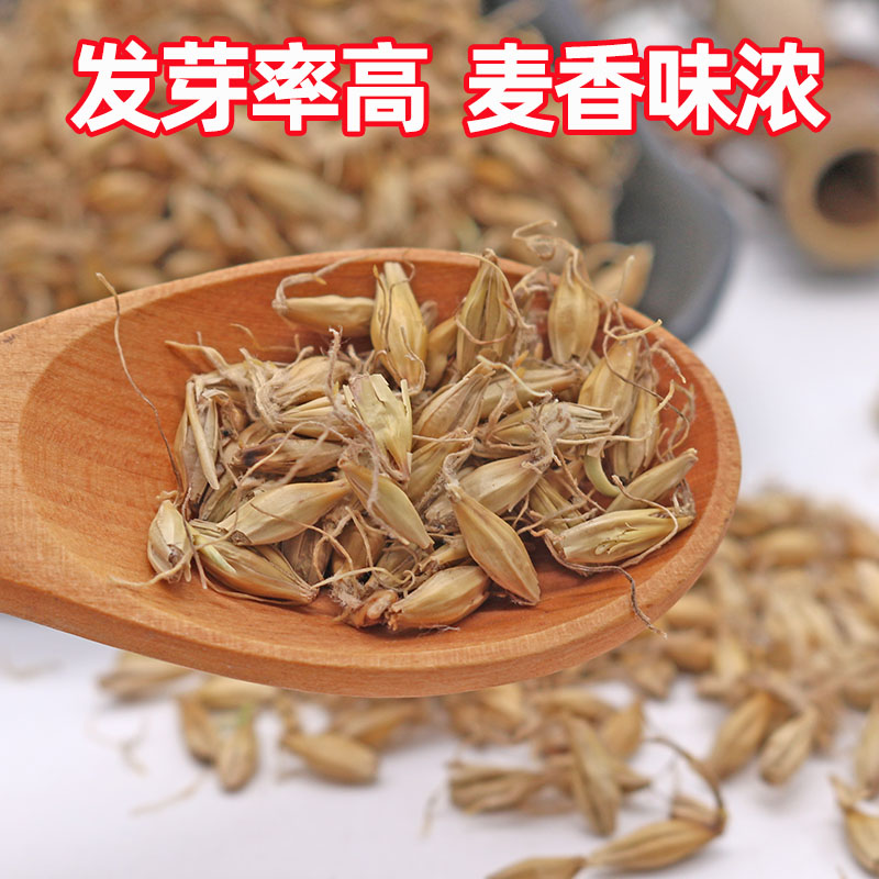 麦芽生麦芽大麦芽无硫新货麦芽茶