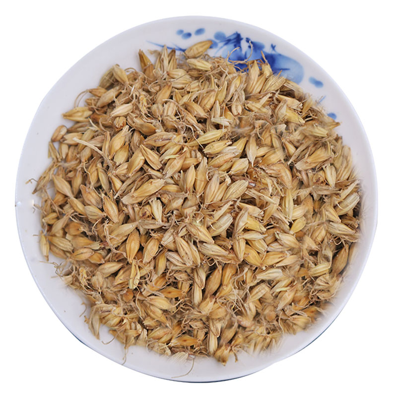 麦芽生麦芽大麦芽无硫新货麦芽茶