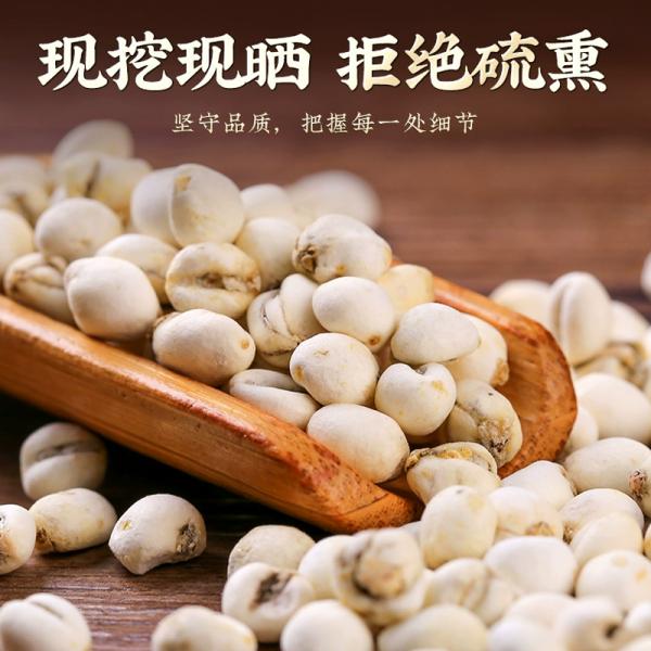 川贝母松贝珍珠贝松贝仿野生小川贝